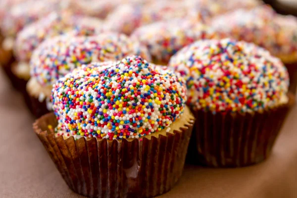 Cupcakes variados em exposição — Fotografia de Stock