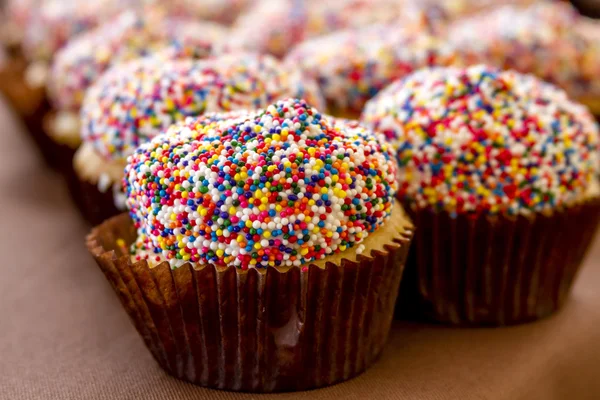 Assorted Cupcakes on Display — Stock Photo, Image