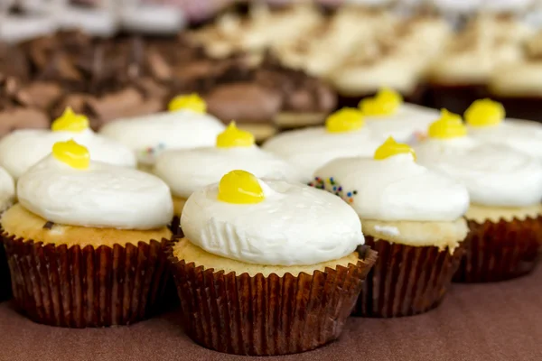 Geassorteerde Cupcakes tentoongesteld — Stockfoto