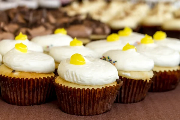 Diverse cupcakes på displayet - Stock-foto