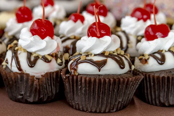 Cupcakes variados em exposição — Fotografia de Stock