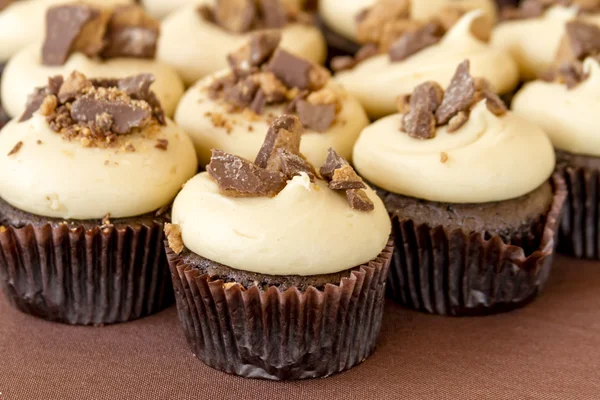 Assorted Cupcakes on Display — Stock Photo, Image