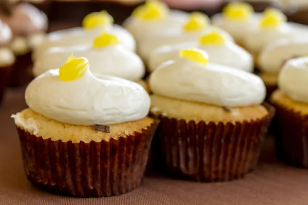 Diverse cupcakes på displayet - Stock-foto