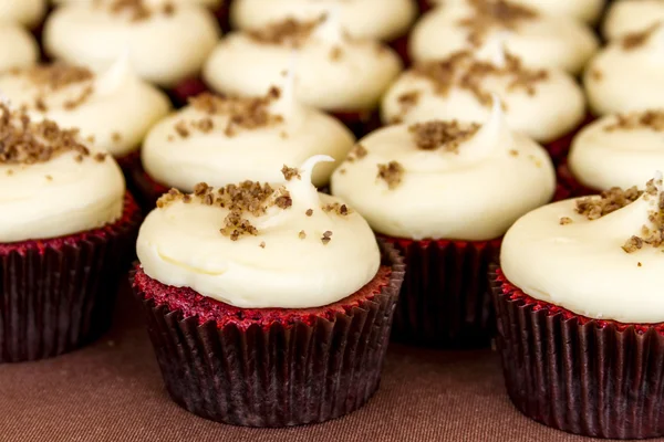 Diverse Cupcakes på displayen — Stockfoto