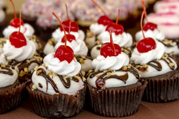 Różnorodnych Cupcakes na wyświetlaczu — Zdjęcie stockowe