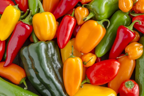 Hot Sweet and Chili Pepper Varieties — Stock Photo, Image