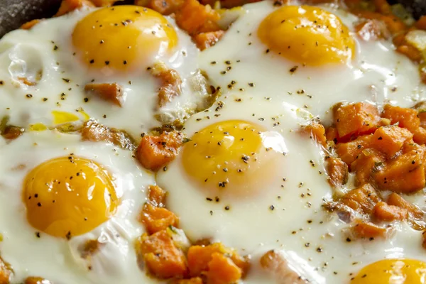 Fried Eggs and Sweet Potato Hash — Stock Photo, Image