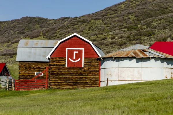 Little Red Emoticon Barn — Stock Photo, Image