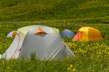 Açık havada Colorado dağda kamp