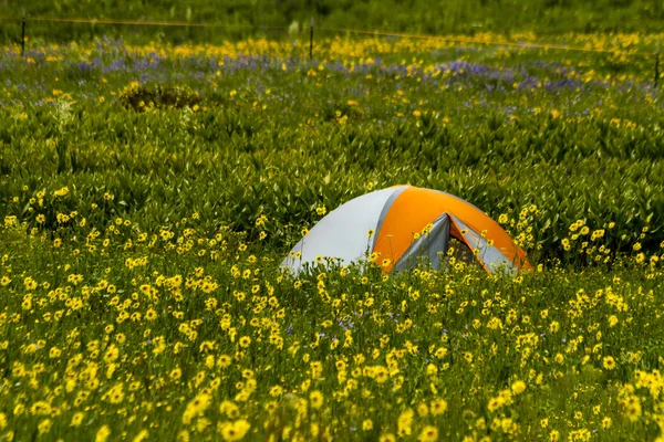 Zelten im Freien in den Bergen von Colorado — Stockfoto