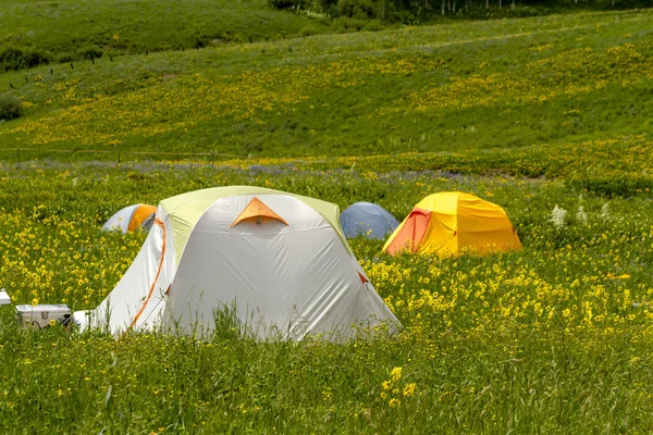 コロラド州の山の中で屋外のキャンプ — ストック写真