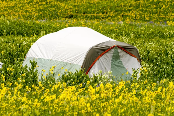 Camping al aire libre en las montañas de Colorado — Foto de Stock