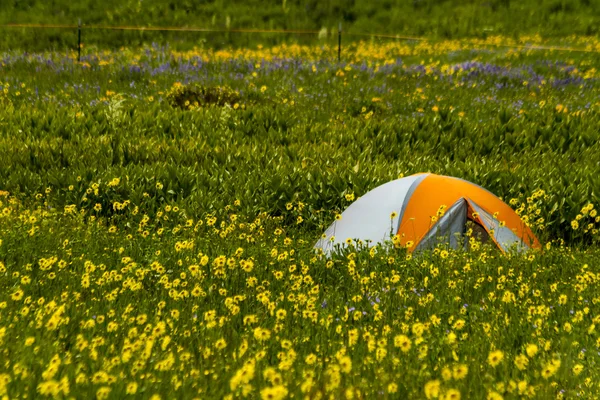 Camping al aire libre en las montañas de Colorado — Foto de Stock