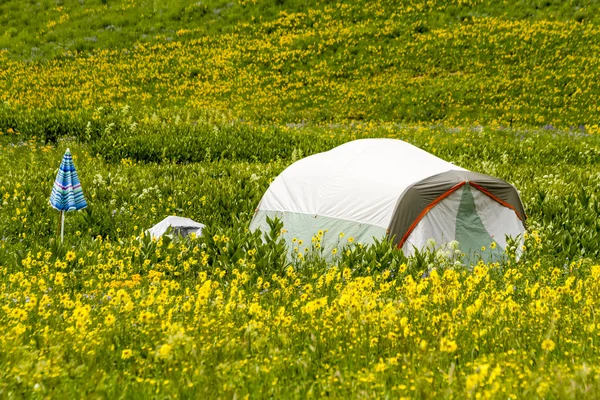 Camping utomhus i bergen i Colorado — Stockfoto