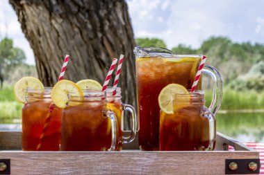 Grand Junction, Colorado'da piknik buzlu çay