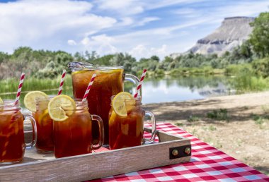 Grand Junction, Colorado'da piknik buzlu çay