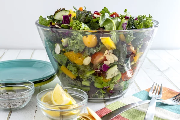 Bio-Superfood vegetarischer Salat — Stockfoto