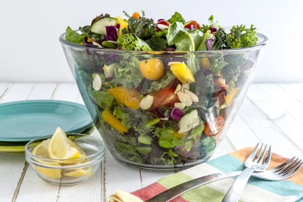 Organic Super Food Vegetarian Salad — Stock Photo, Image