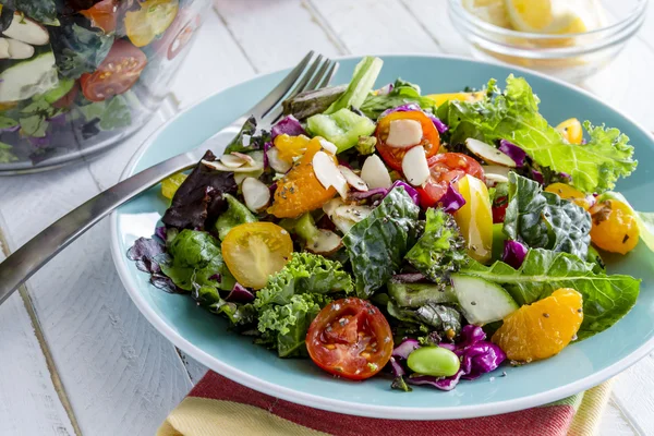Organic Super Food Vegetarian Salad — Stock Image Organic Super Food Vegetarian Salad Royalty Free Stock Photos