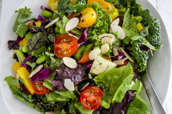 Organic Super Food Vegetarian Salad — Stock Image Organic Super Food Vegetarian Salad Stock Photo