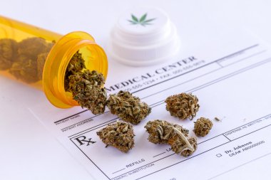 Tıbbi esrar tomurcukları ve tohum