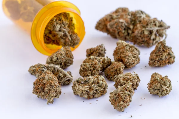 Medicinsk Marijuana knoppar och frön — Stockfoto