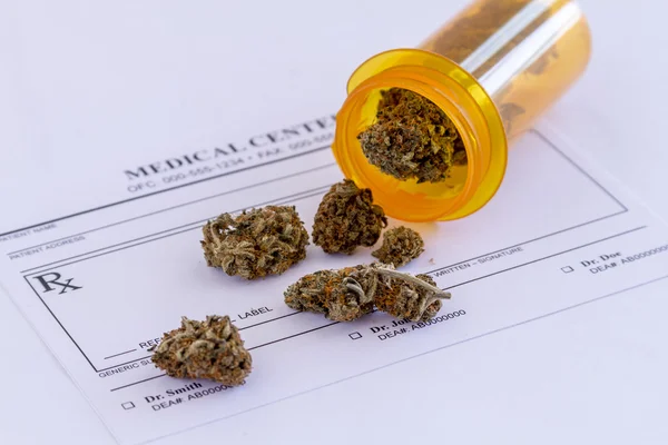 Medicinsk Marijuana knoppar och frön — Stockfoto