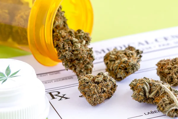 Cogollos y semillas de marihuana medicinal —  Fotos de Stock