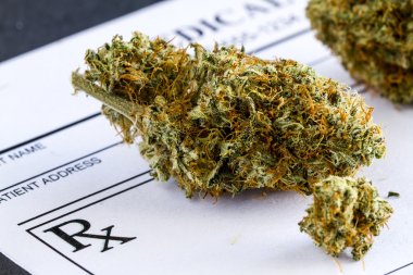 Medical Marijuana Buds on Black Background clipart