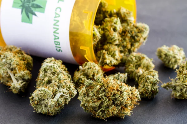 Medizinische Marihuana-Knospen auf schwarzem Hintergrund — Stockfoto