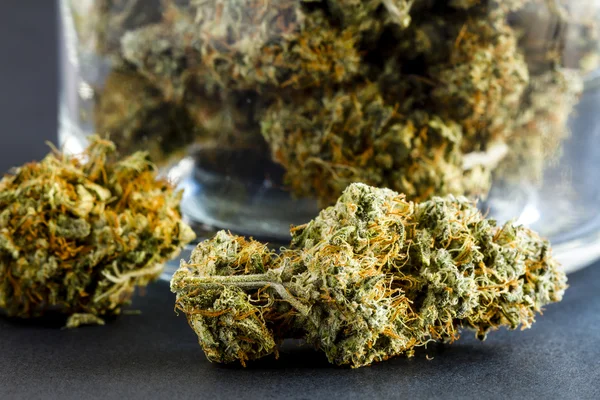 Marihuana medicinal brota sobre fondo negro — Foto de Stock