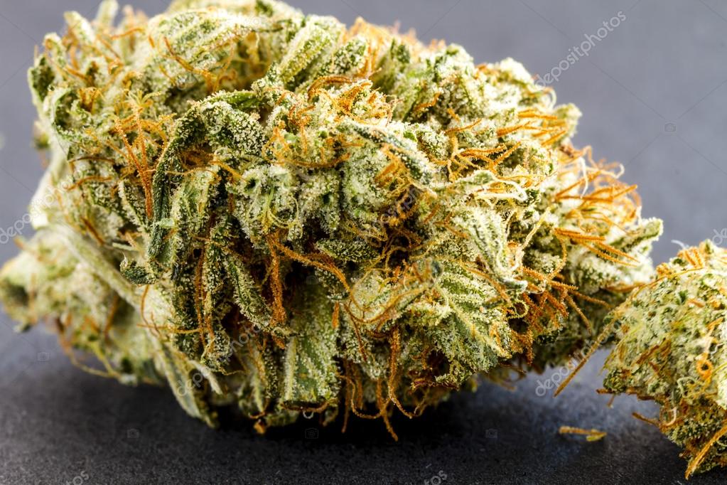 Medical Marijuana Buds on Black Background — Stock Photo