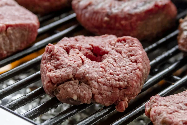 Grilling Meats at Outdoor Picnic — Stock Photo, Image