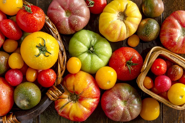 Assortment of Fresh Heirloom Tomatoes — Stock Photo, Image