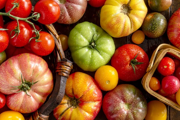 Assortment of Fresh Heirloom Tomatoes — Stock Photo, Image