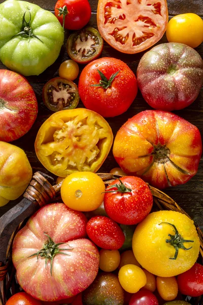 Sortiment čerstvých dědictví rajčata — Stock fotografie