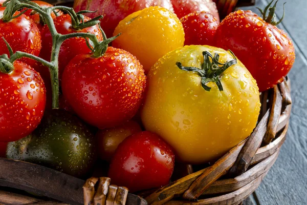 Sortimento de tomates frescos da relíquia — Fotografia de Stock