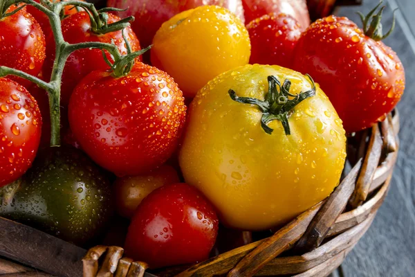 Asortyment świeżych scheda pomidory — Zdjęcie stockowe