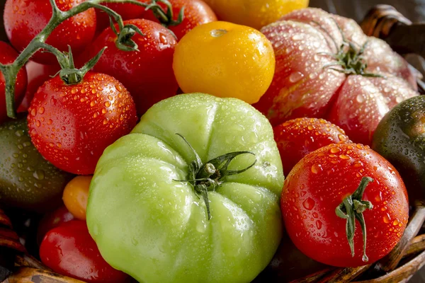 Assortment of Fresh Heirloom Tomatoes — Stock Photo, Image