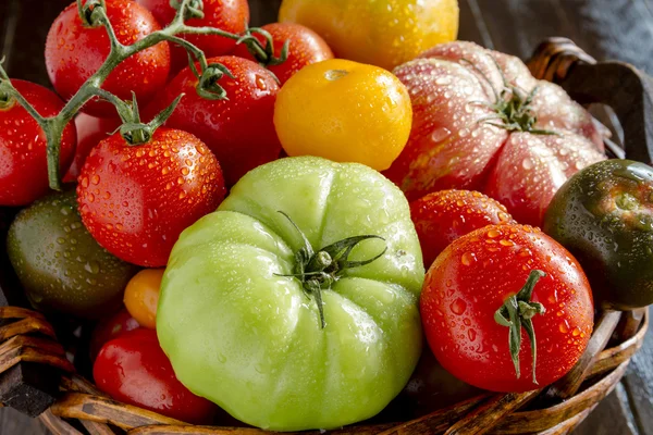 Sortimento de tomates frescos da relíquia — Fotografia de Stock