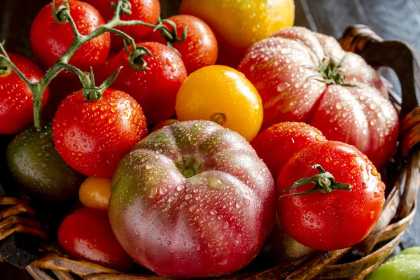 Sortiment av färska Heirloom Tomater — Stockfoto