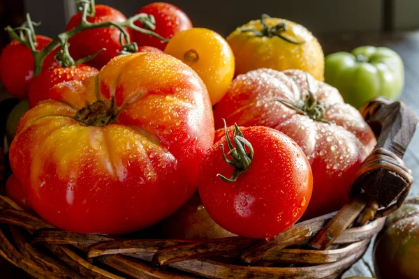 各式各样的新鲜传家宝西红柿 — 图库照片