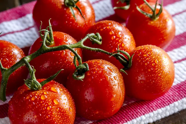 Sortiment frischer Tomaten — Stockfoto