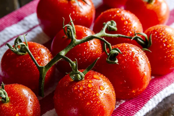 Sortimento de tomates frescos da relíquia — Fotografia de Stock