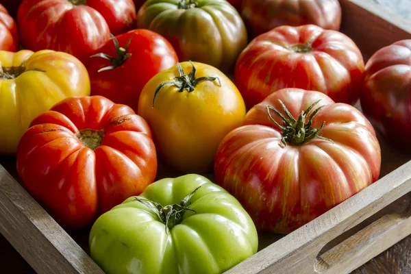 Surtido de Tomates Frescos de Herencia —  Fotos de Stock