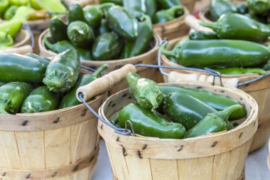 Taze Organik Meyveler ve Sebzeler Çiftçi Pazarında