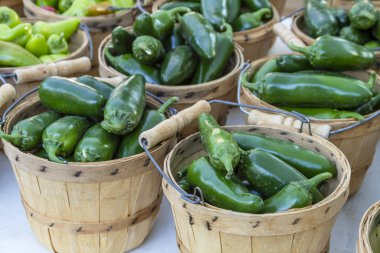 Taze Organik Meyveler ve Sebzeler Çiftçi Pazarında