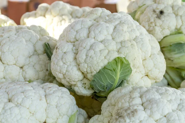 Frutas y hortalizas orgánicas frescas en el mercado de agricultores —  Fotos de Stock