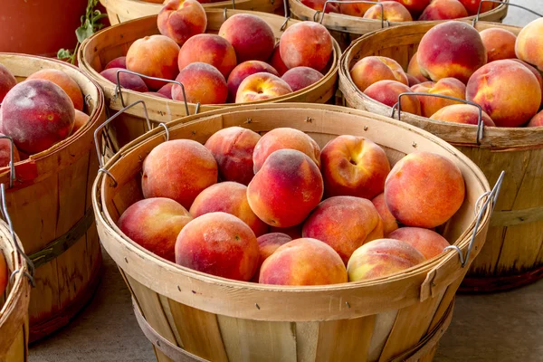 Friss alapanyagokat a helyi Farmstand — Stock Fotó