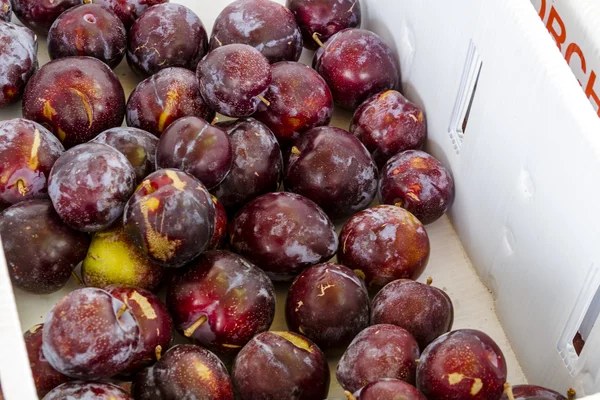 Fresh Produce at Local Farmstand — Stock Photo, Image